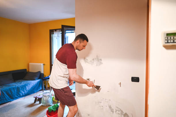Best Certified Mold Removal  in Reed City, MI