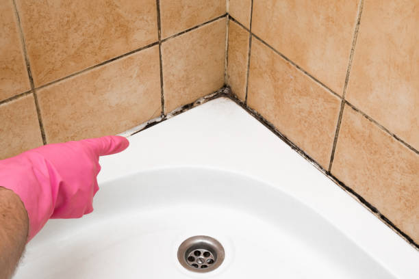 Best Residential Mold Removal  in Reed City, MI